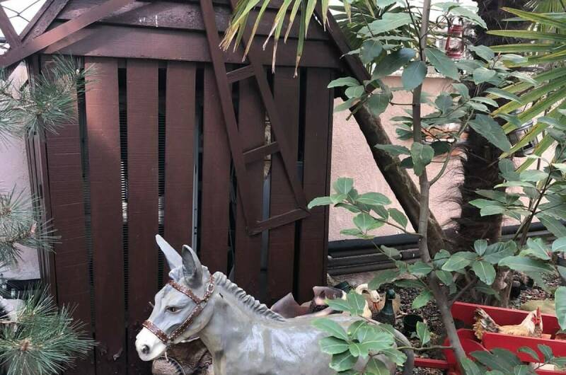 Отель «ВИКТОРиЯ»