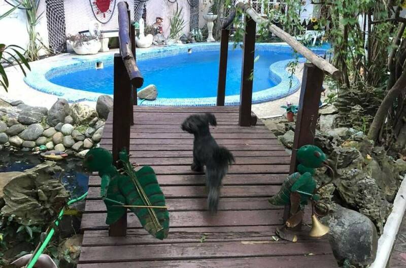 Отель «ВИКТОРиЯ»