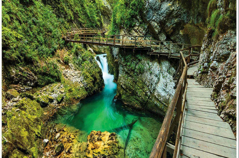 Гостевой дом «Солнце Кавказа»