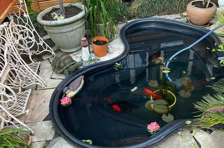 Гостевой дом «Марго»