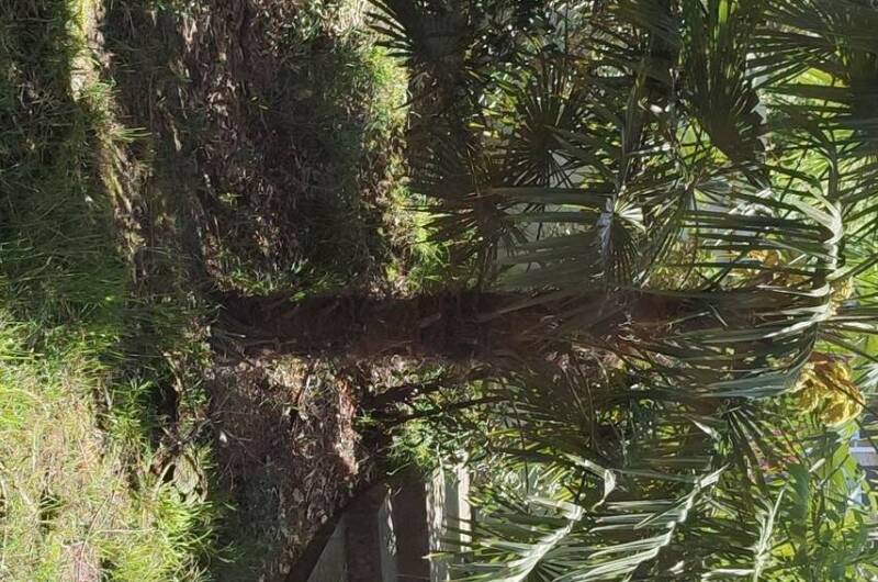 Гостевой дом «Московский»