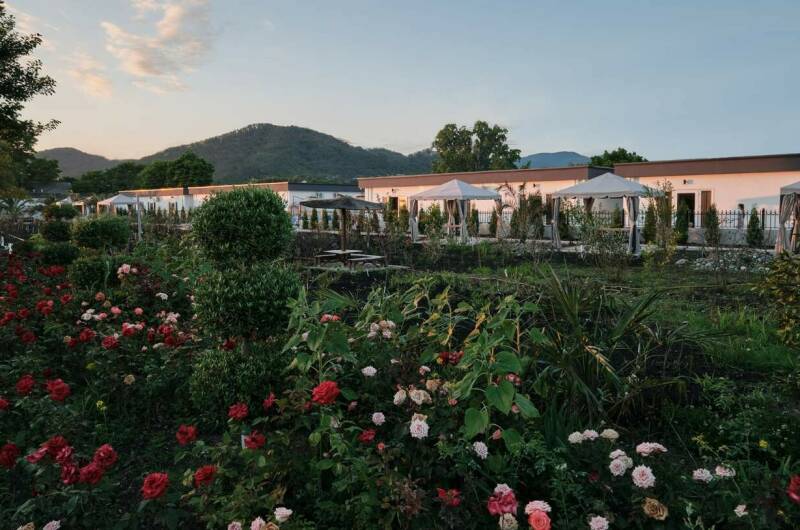 Гостевой дом «Черный кот»