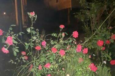 Гостевой дом «EdMan»