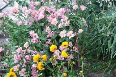 Гостевой дом «EdMan»