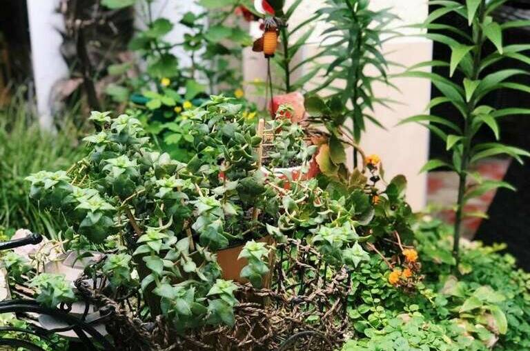 Гостевой дом на Победы