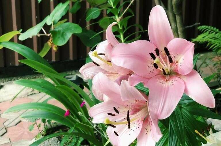 Гостевой дом на Победы