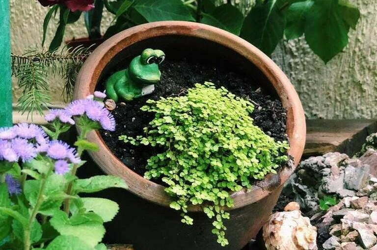 Гостевой дом на Победы