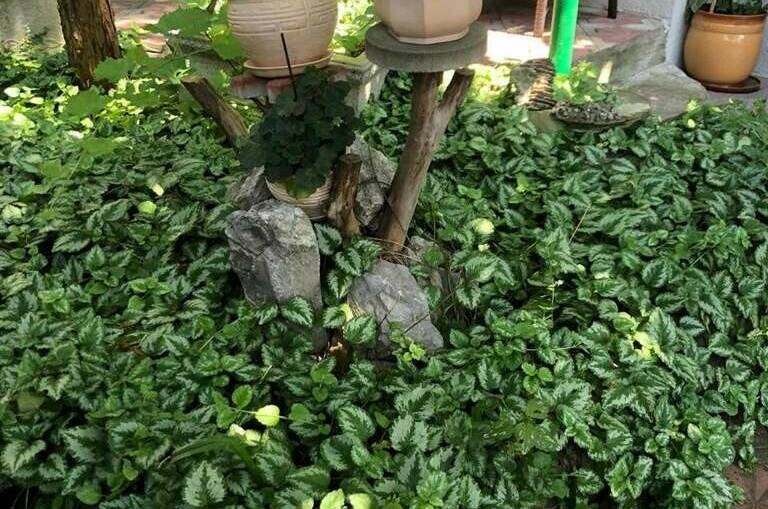 Гостевой дом на Победы