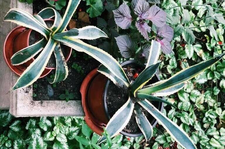 Гостевой дом на Победы