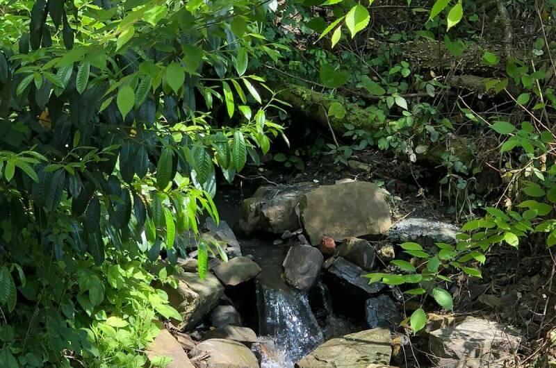 Гостевой дом «Сура»