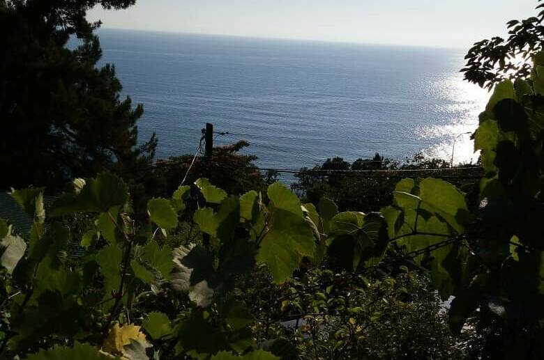 Домик у моря