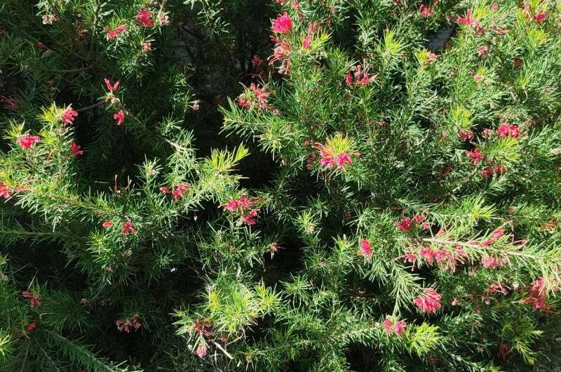 Гостевой дом «Московский»