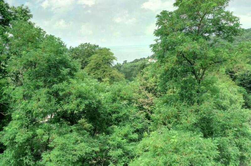 Двухкомнатная квартира