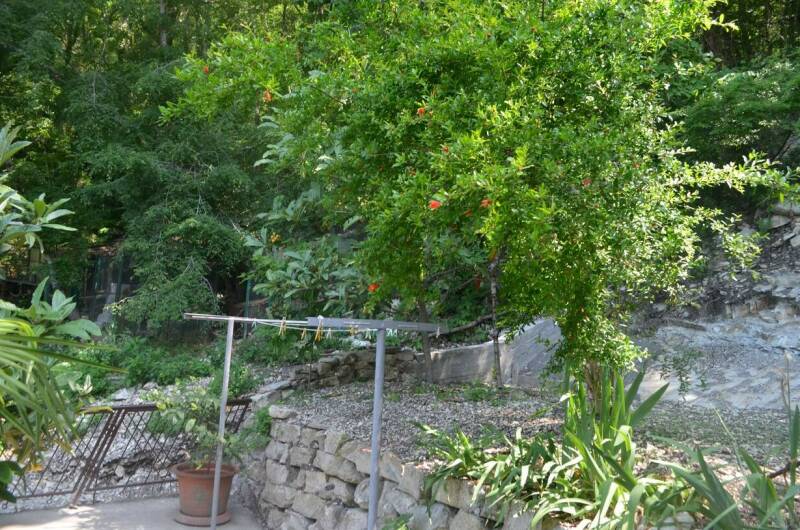 Гостевой дом «Дом с флагом»