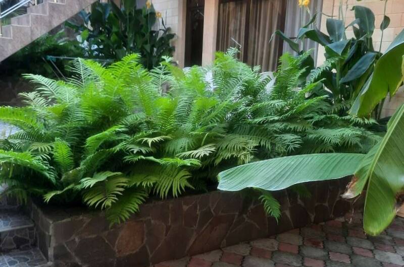 Гостевой дом «Пальма»