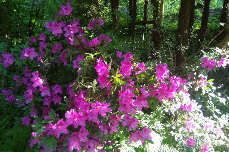 Пансионат «Семейный»