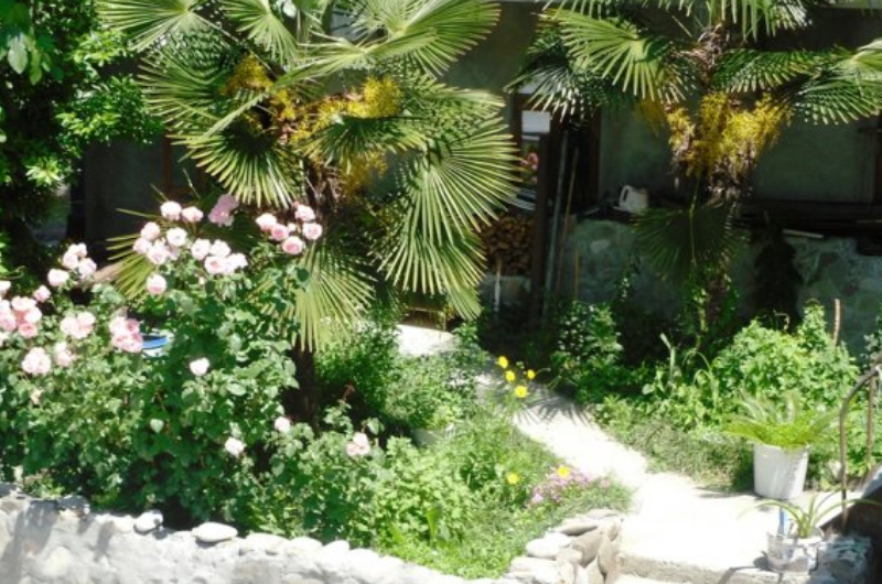 Пансионат «Семейный»