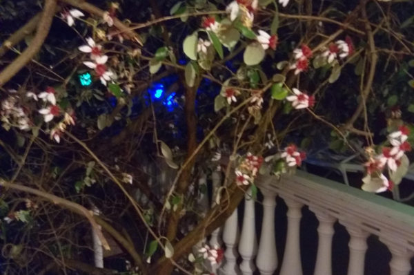 Пансионат «Семейный»