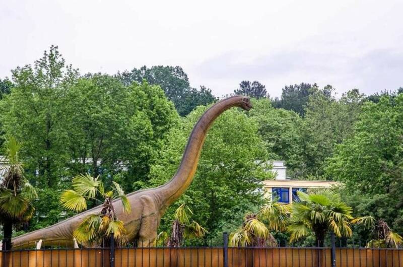 Квартира у моря с балконом