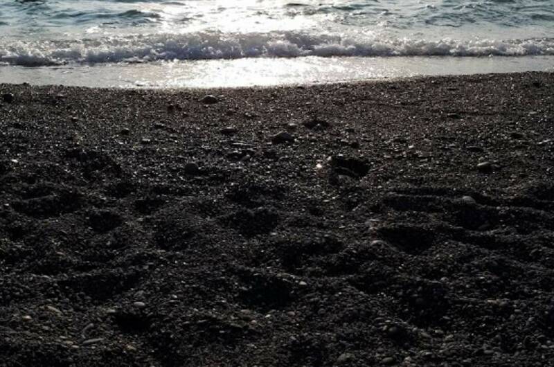 Большая квартира у пляжа «Альбатрос»