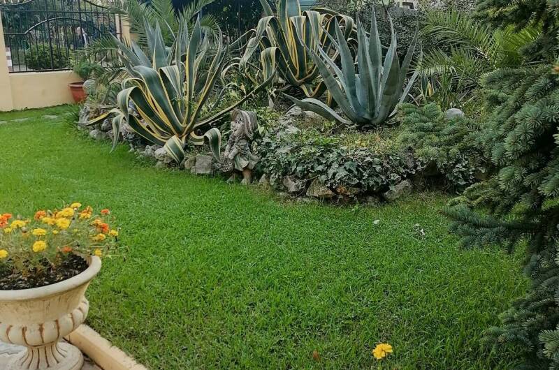 Гостиница «Орион»