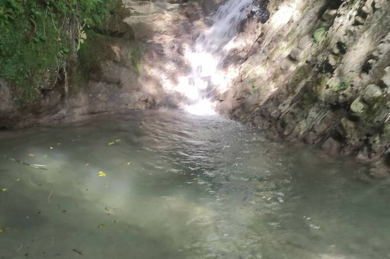 Гостевой дом «У Кедра»