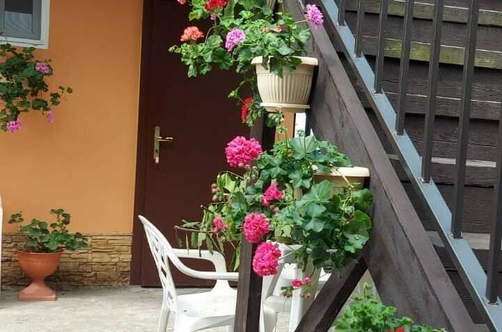 Гостевой дом «Оранжевый»