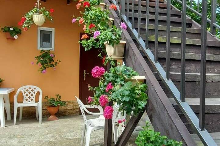 Гостевой дом «Оранжевый»