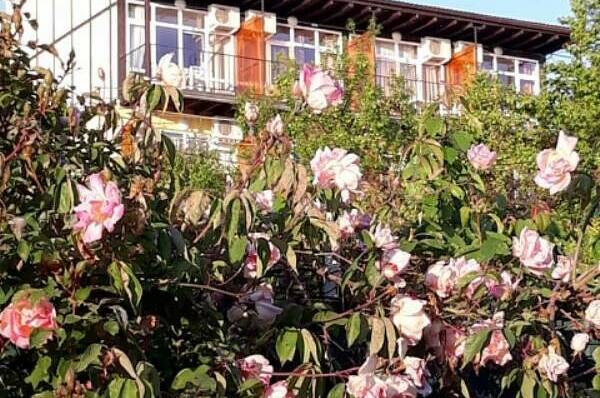 Гостевой дом «Оранжевый»