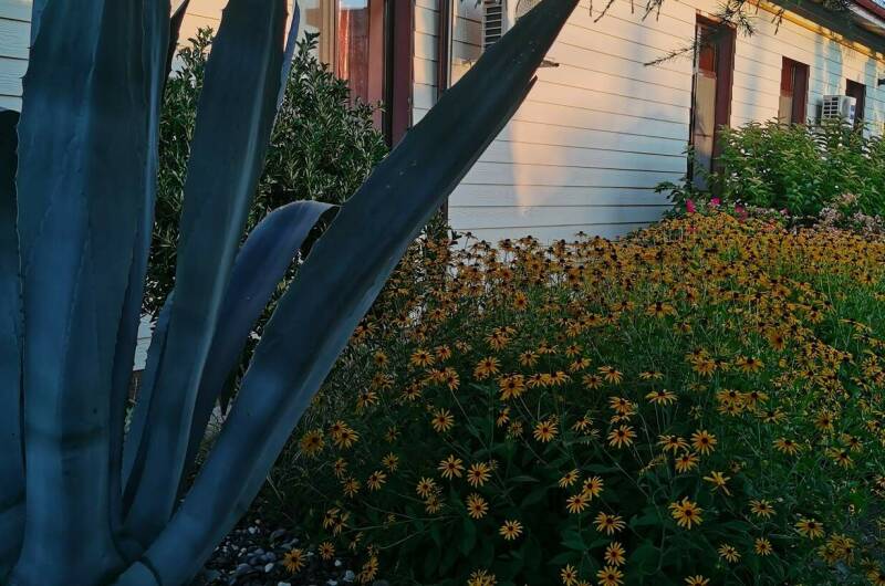 Гостевой дом «У Ирины на море»