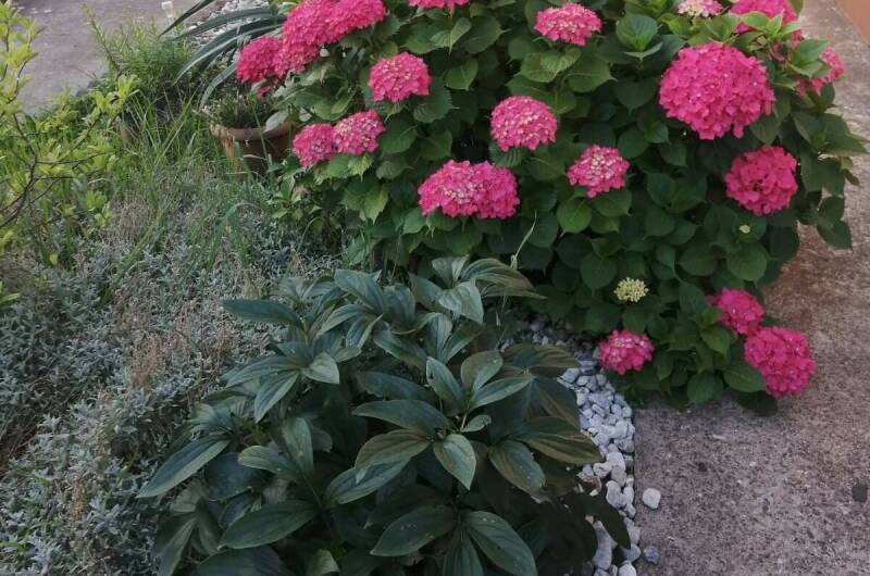 Гостевой дом «У Ирины на море»