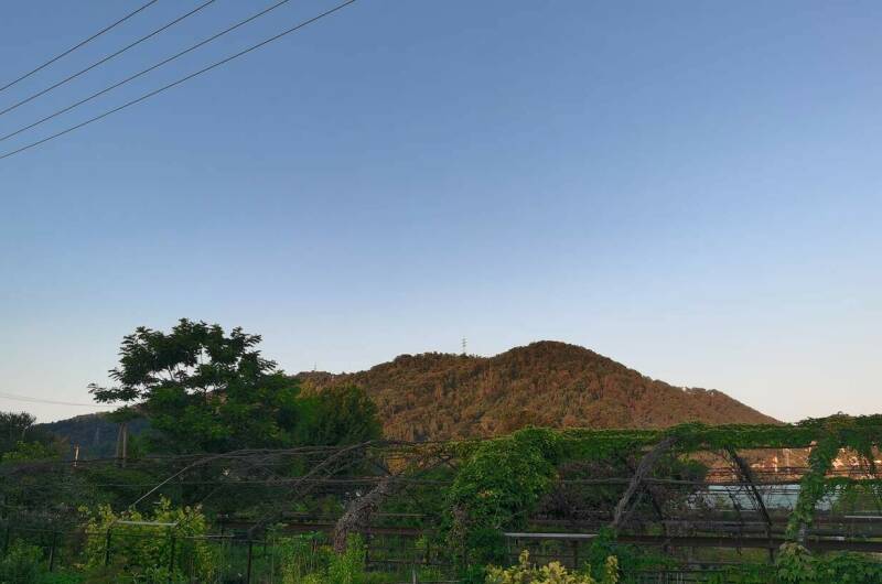 Гостевой дом «У Ирины на море»