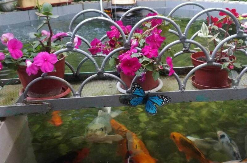 Гостевой дом «Ангели»