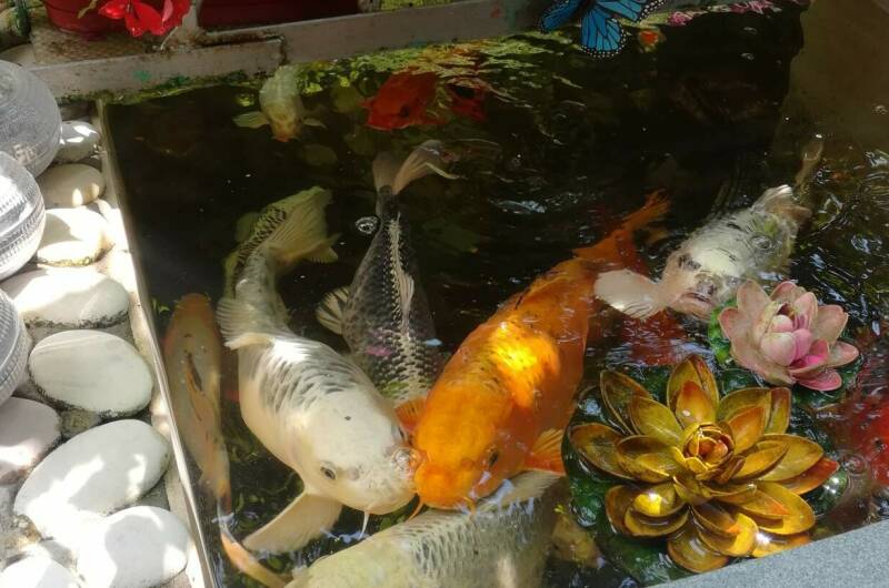 Гостевой дом «Ангели»