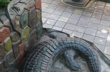 Частный сектор «Тропикано»