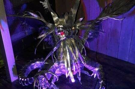 Частный сектор «Тропикано»