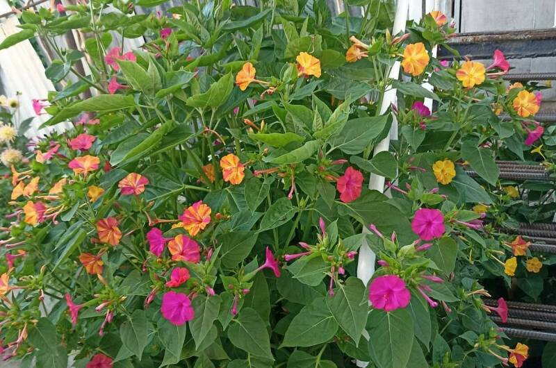 Гостевой дом на Тельмана 39