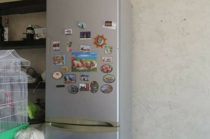 Эллинг 77 «Нинель»