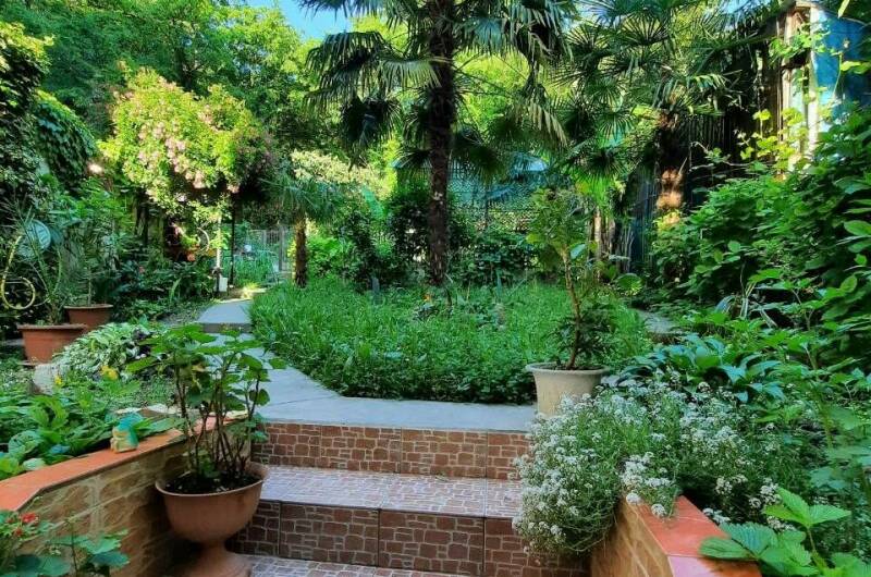 Гостевой дом «Мини Пальма»