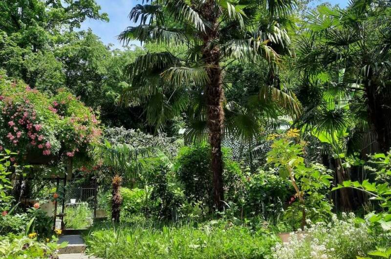 Гостевой дом «Мини Пальма»