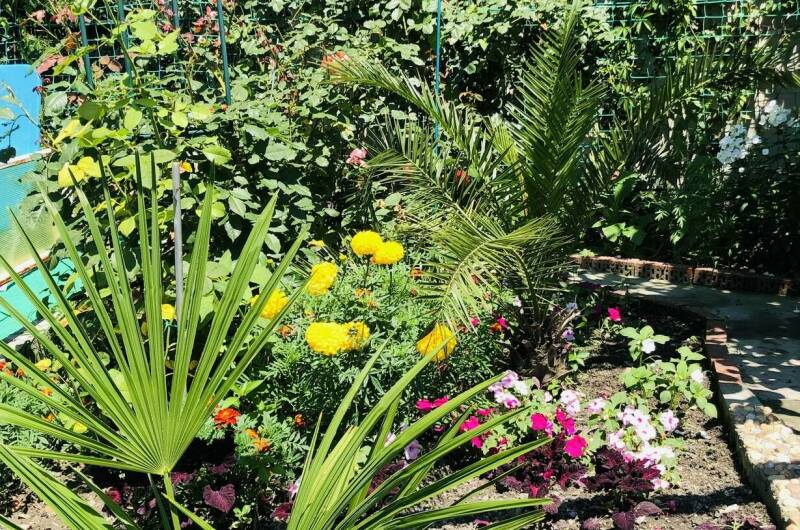 Гостевой дом на Мирной