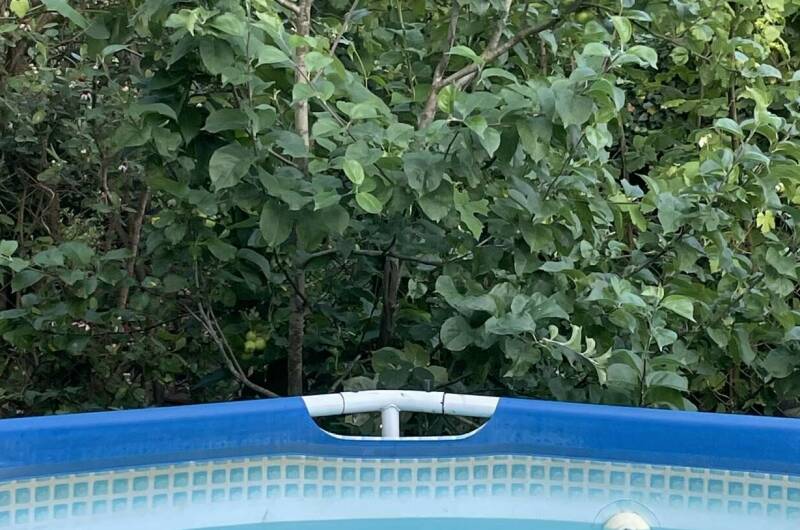 Частный сектор на Ватутина