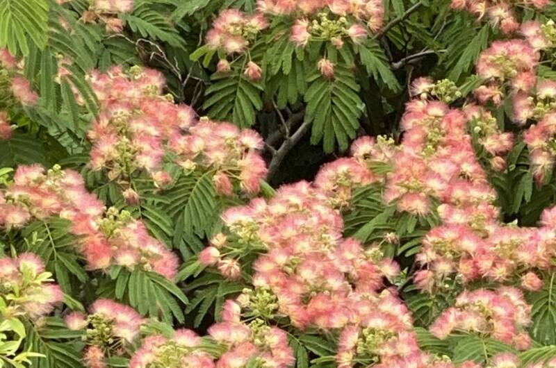 Квартира с панорамным видом на горы