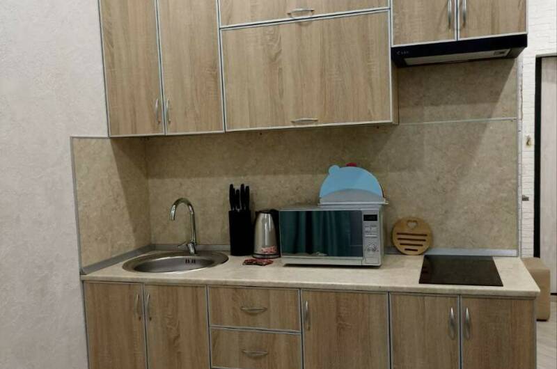 Студия у моря на Таврической (2/51)