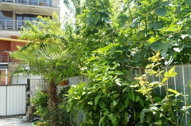 Гостевой дом «У Валентины»