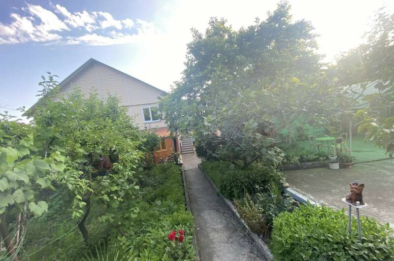 Гостевой дом «Дельфинчик»