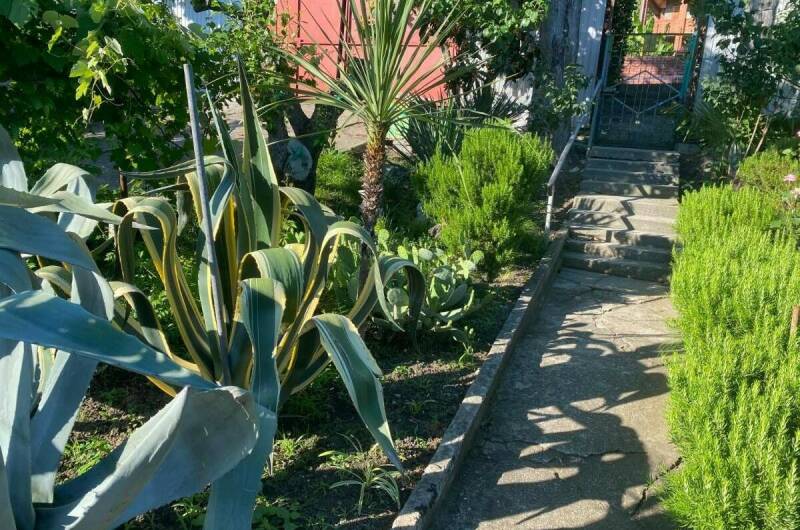 Гостевой дом «Дельфинчик»