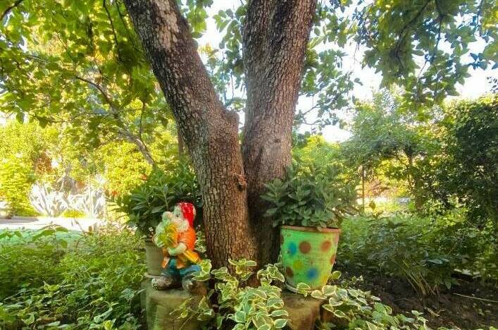 Гостевой дом «Дельфинчик»