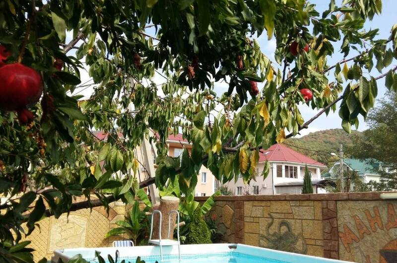 Гостевой дом «Mандарин»