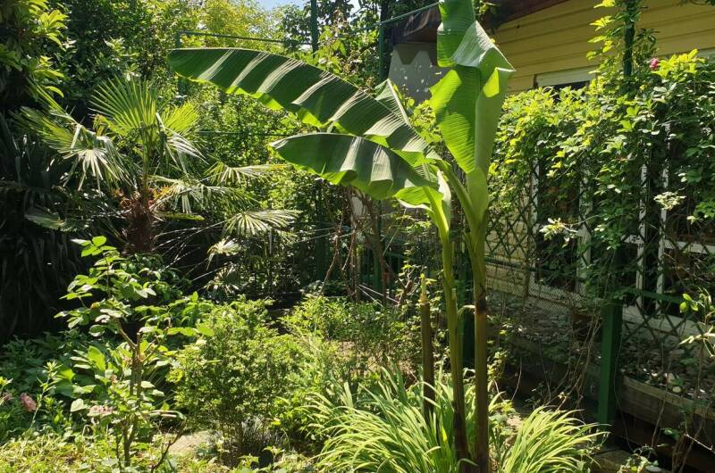 Гостевой дом «Мирный»